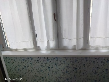 Сдам двухкомнатную