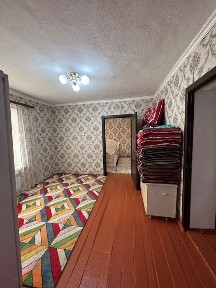 Туркестанская область, Бадам