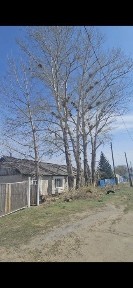 Восточно-Казахстанская область, Бескарагай