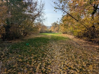 Дом с участком 25 сот. Орикти