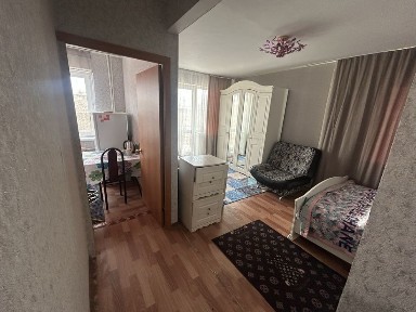 Сдам квартиру 1 комнатная в центре