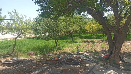 Туркестанская область, Туркестан