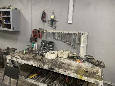 Туркестанская область, Сауран