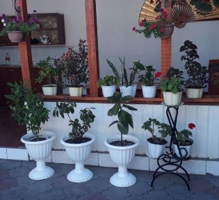 Продам дом продам столовую