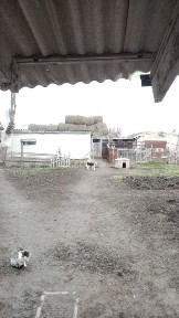 Западно-Казахстанская область, Большой Чаган