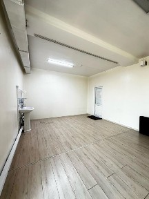 Туркестанская область, Сауран