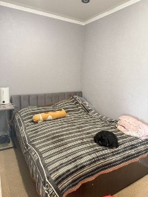 Павлодарская область, Павлодар