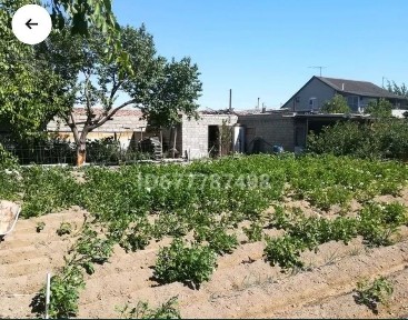 Карагандинская область, Балхаш