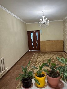 Туркестанская область, Шымкент, Туран