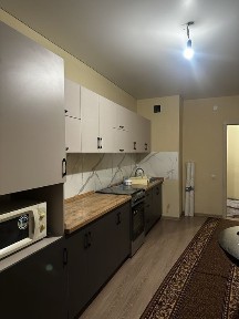 Алматинская область, Алатау