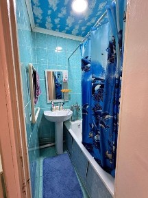 Жамбылская область, Болтирик шешен