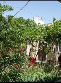 Туркестанская область, Ошакты