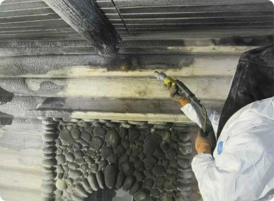 Дезинфекция от короеда / Шымкент/