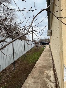 Западно-Казахстанская область, Трекино