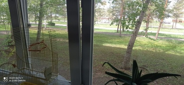 Костанайская область, Лисаковск