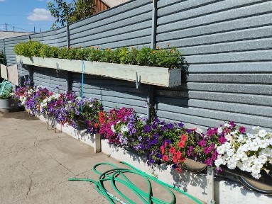 Благоустроенные 2 дома с участком и в центрге города