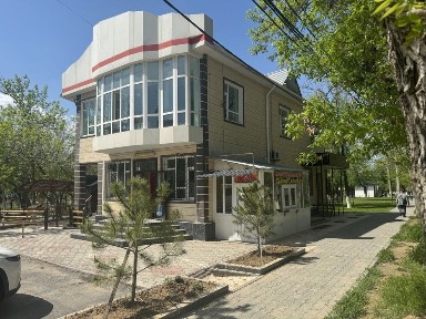 Туркестанская область, Сауран