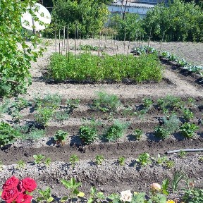 Продается дом с участком г. Каратау