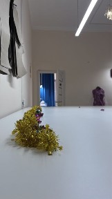 Акмолинская область, Астана, Алматинский район