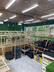 Сдам помещение под овощи