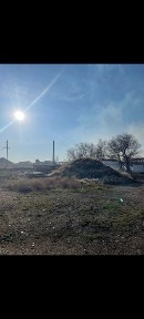 Жамбылская область, Болтирик шешен