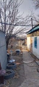 Восточно-Казахстанская область, Семей