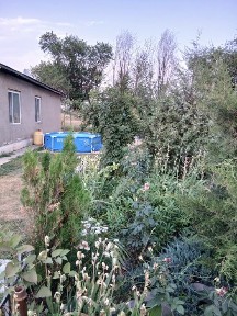 Дом с 30 соток. Шамалган село