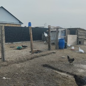 Дом в тихом районе