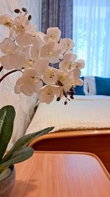 Алматинская область, Алматы, Алмалинский район