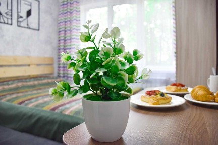 YourHouse шикарный вариант студии выше Атакента