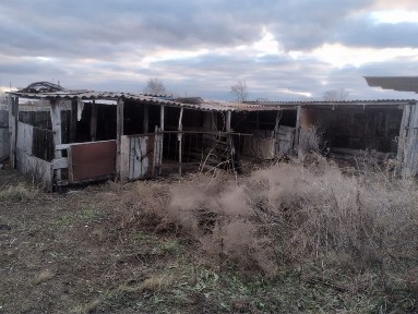 Костанайская область, Целинное