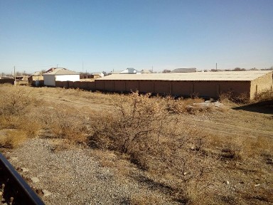 Продаётся дом с участком 60 соток. Уй сатылады