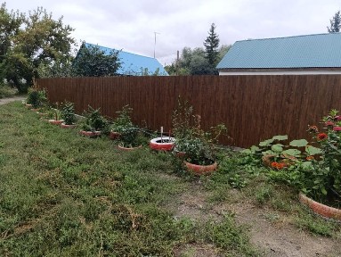 Восточно-Казахстанская область, Семей