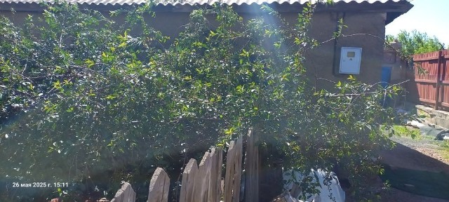 Отдельный стояший дом