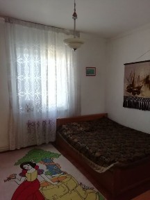 Шанхайда бір қорада екі уй сатылады.