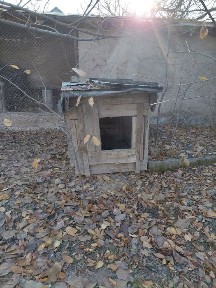 Сабачи домик бальшои