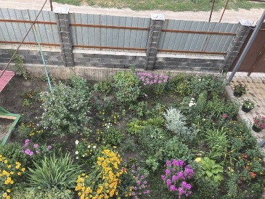 Узвнагашта уй сатылады