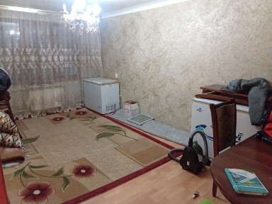 Актюбинская область, Актобе, Акация