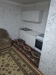 Аренда квартир 2 комнаты кухня санузел