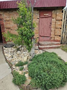 Продам Дачу за Куленовкой