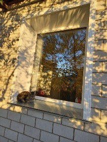 Продам дом недалеко от города Павлодара 46км по Семской трассе.