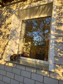 Павлодарская область, Павлодар