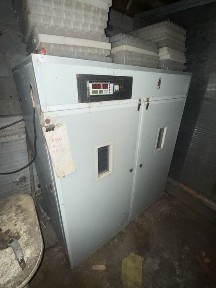 Аренда перепелиной фермы, аренда оборудавания для перепелов