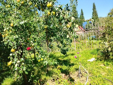 Продам дачу в отличном месте