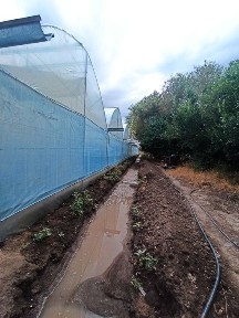 Продам теплицу (тепличный комплекс) 0.77га (77 сот)
