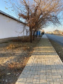 Туркестан каласында уй сатылады