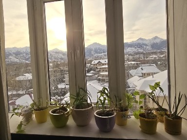 Аренда квартиры на зимний период