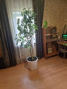 продаётся дом Карагандинская область, город Сарань, ул Джамбула 104,цена