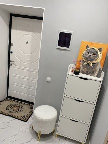 Сдам однокомнатную квартиру