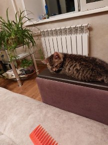 Продаётся квартира в центре. Город Семей.